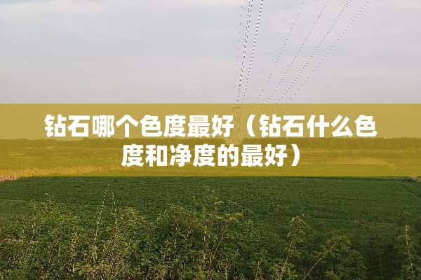 钻石哪个色度最好（钻石什么色度和净度的最好）