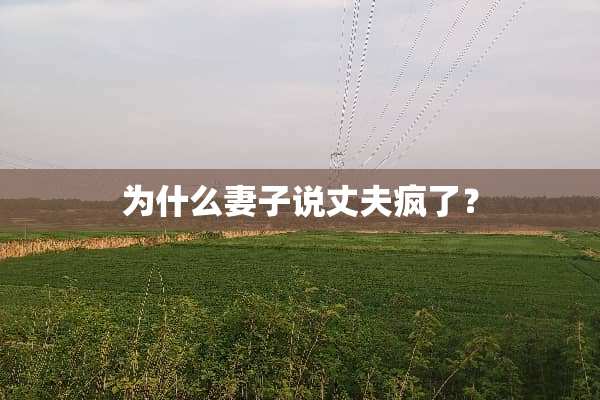 为什么妻子说丈夫疯了？