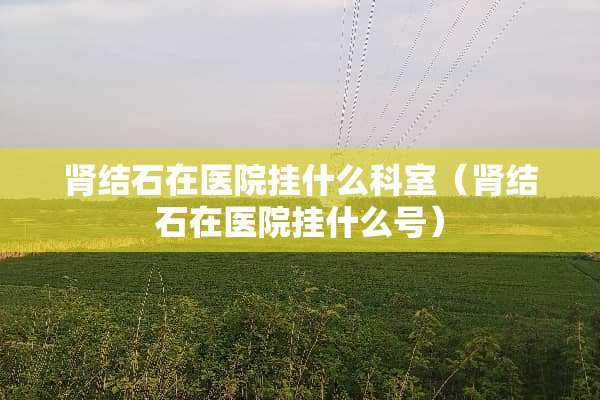 肾结石在医院挂什么科室(肾结石在医院挂什么号) 肾结石在医院挂什么科室(肾结石在医院挂什么号)