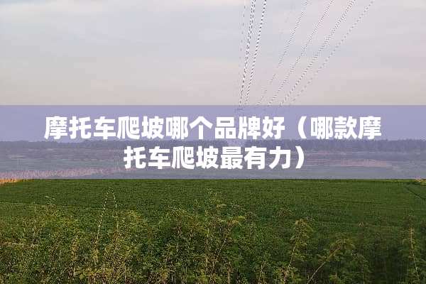 摩托车爬坡哪个品牌好(哪款摩托车爬坡最有力) 摩托车爬坡哪个品牌好(哪款摩托车爬坡最有力)