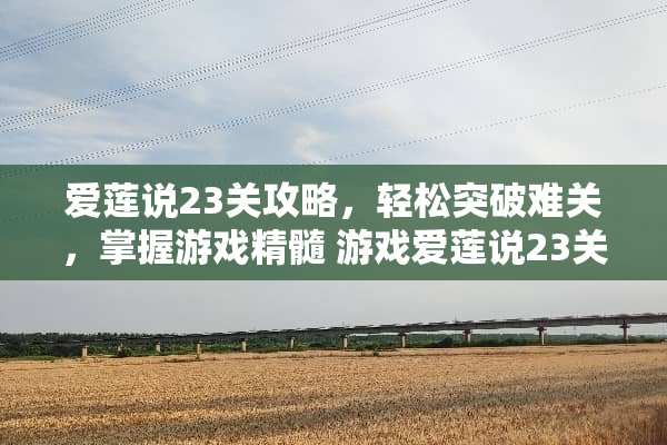 爱莲说23关攻略,轻松突破难关,掌握游戏精髓 游戏爱莲说23关攻略 爱莲说23关攻略,轻松突破难关,掌握游戏精髓 游戏爱莲说23关攻略
