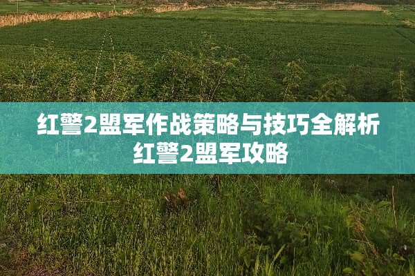 红警2盟军作战策略与技巧全解析 红警2盟军攻略 红警2盟军作战策略与技巧全解析 红警2盟军攻略