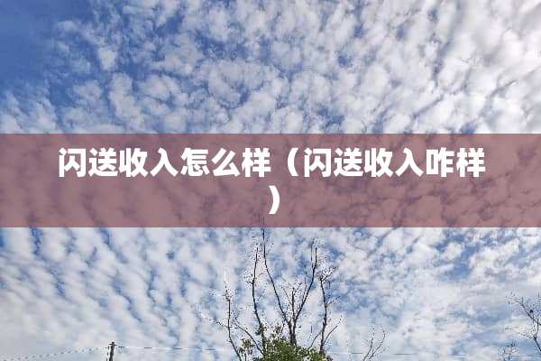 闪送收入怎么样(闪送收入咋样) 闪送收入怎么样(闪送收入咋样)