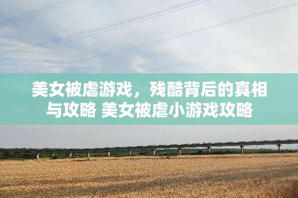 ****游戏,残酷背后的**与攻略****小游戏攻略 ****游戏,残酷背后的**与攻略****小游戏攻略