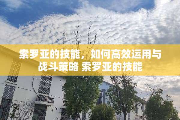 索罗亚的技能，如何高效运用与战斗策略 索罗亚的技能