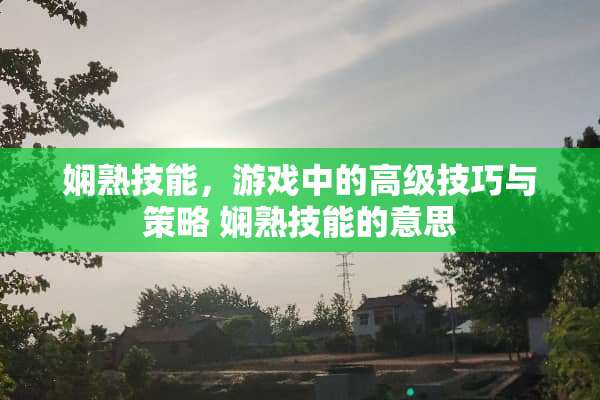 娴熟技能,游戏中的高级技巧与策略 娴熟技能的意思 娴熟技能,游戏中的高级技巧与策略 娴熟技能的意思