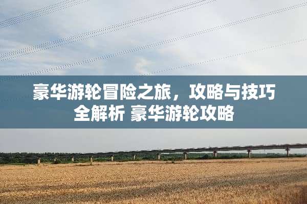 豪华游轮冒险之旅，攻略与技巧全解析 豪华游轮攻略