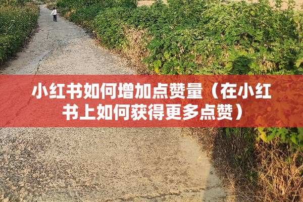 小红书如何增加点赞量(在小红书上如何获得更多点赞) 小红书如何增加点赞量(在小红书上如何获得更多点赞)