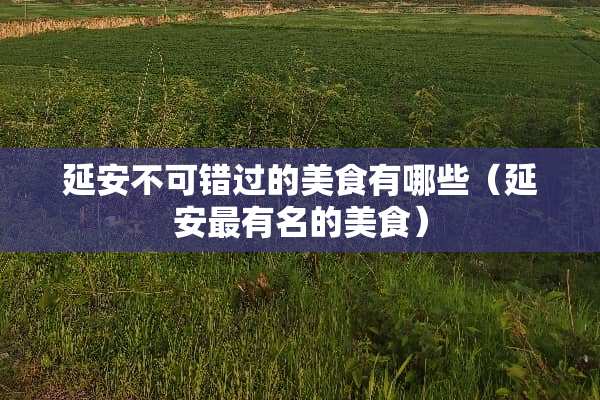 延安不可错过的美食有哪些（延安最有名的美食）