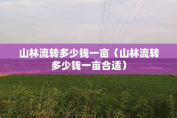 山林流转多少钱一亩(山林流转多少钱一亩合适) 山林流转多少钱一亩(山林流转多少钱一亩合适)