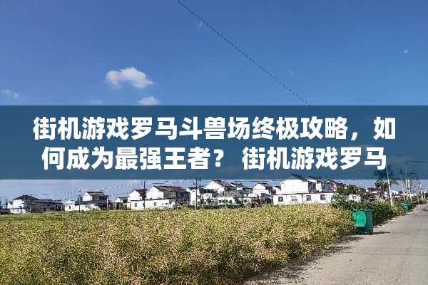 街机游戏罗马斗兽场终极攻略,如何成为最强王者? 街机游戏罗马斗兽场攻略 街机游戏罗马斗兽场终极攻略,如何成为最强王者? 街机游戏罗马斗兽场攻略