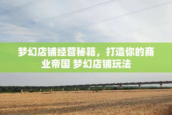 梦幻店铺经营秘籍，打造你的商业帝国 梦幻店铺玩法