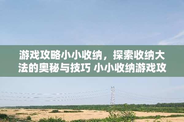 游戏攻略小小收纳,探索收纳**的奥秘与技巧 小小收纳游戏攻略软件 游戏攻略小小收纳,探索收纳**的奥秘与技巧 小小收纳游戏攻略软件