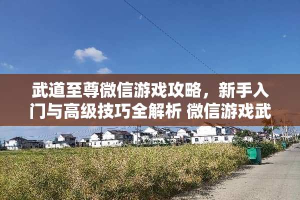 武道至尊微信游戏攻略,新手入门与高级技巧全解析 微信游戏武道至尊攻略 武道至尊微信游戏攻略,新手入门与高级技巧全解析 微信游戏武道至尊攻略