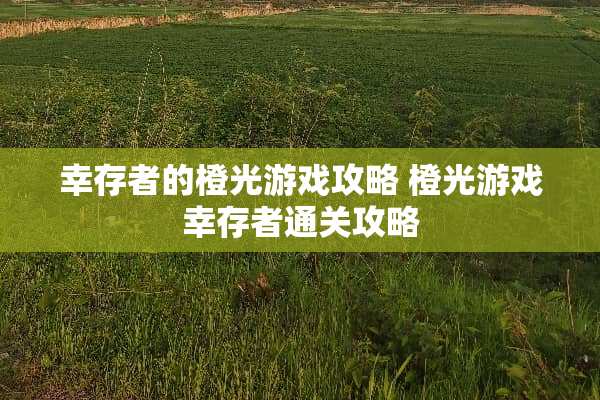 幸存者的橙光游戏攻略 橙光游戏幸存者通关攻略 幸存者的橙光游戏攻略 橙光游戏幸存者通关攻略
