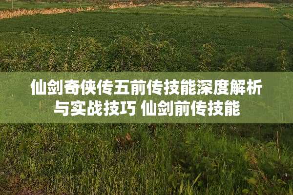 仙剑奇侠传五前传技能深度解析与实战技巧 仙剑前传技能 仙剑奇侠传五前传技能深度解析与实战技巧 仙剑前传技能