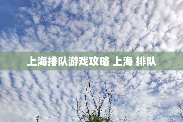 上海排队游戏攻略 上海 排队 上海排队游戏攻略 上海 排队