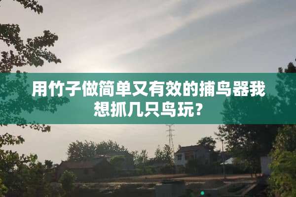 用竹子做简单又有效的捕鸟器我想抓几只鸟玩？