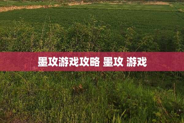 墨攻游戏攻略 墨攻 游戏 墨攻游戏攻略 墨攻 游戏