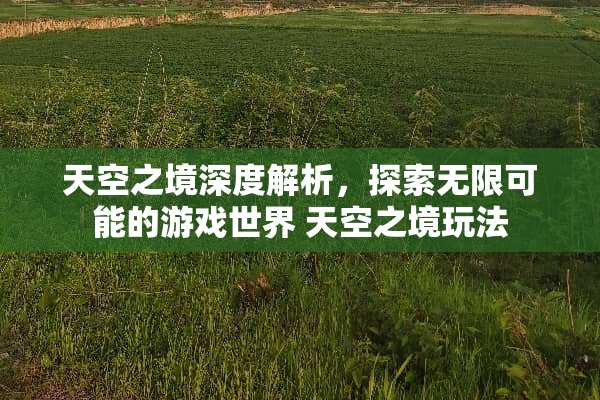 天空之境深度解析,探索无限可能的游戏世界 天空之境玩法 天空之境深度解析,探索无限可能的游戏世界 天空之境玩法
