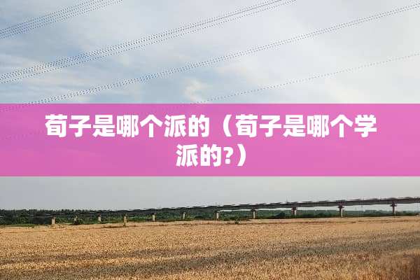 荀子是哪个派的（荀子是哪个学派的?）