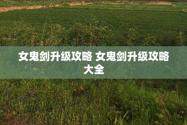 女鬼剑升级攻略 女鬼剑升级攻略大全 女鬼剑升级攻略 女鬼剑升级攻略大全