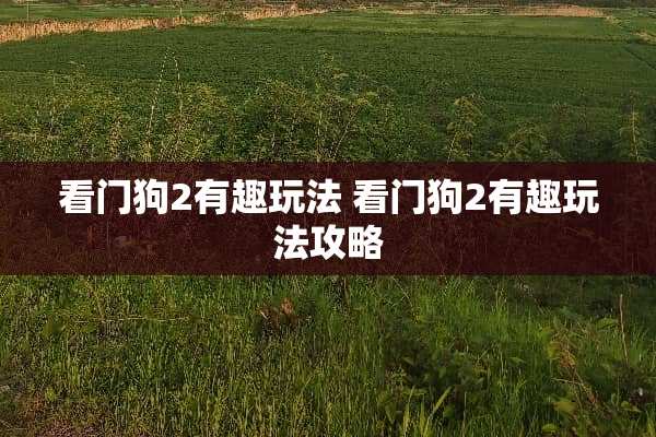 看门狗2有趣玩法 看门狗2有趣玩法攻略 看门狗2有趣玩法 看门狗2有趣玩法攻略
