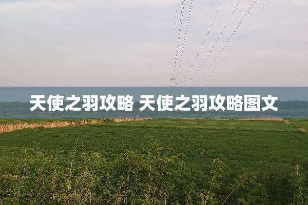 天使之羽攻略 天使之羽攻略图文 天使之羽攻略 天使之羽攻略图文