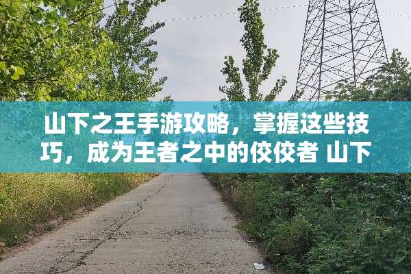山下之王手游攻略,掌握这些技巧,成为王者之中的佼佼者 山下之王手机版游戏攻略 山下之王手游攻略,掌握这些技巧,成为王者之中的佼佼者 山下之王手机版游戏攻略