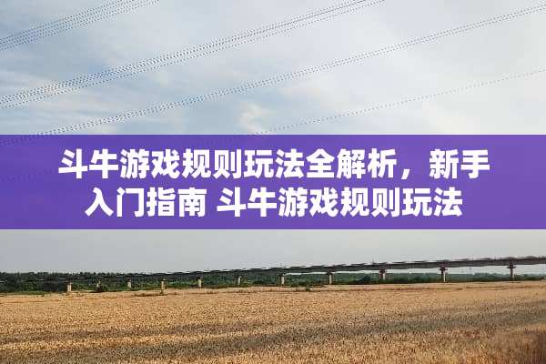 斗牛游戏规则玩法全解析，新手入门指南 斗牛游戏规则玩法