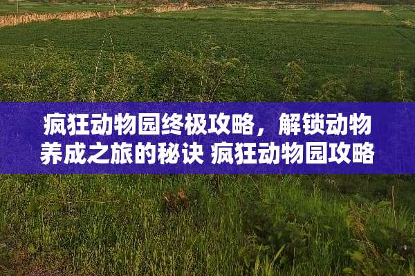疯狂动物园终极攻略，解锁动物养成之旅的秘诀 疯狂动物园攻略