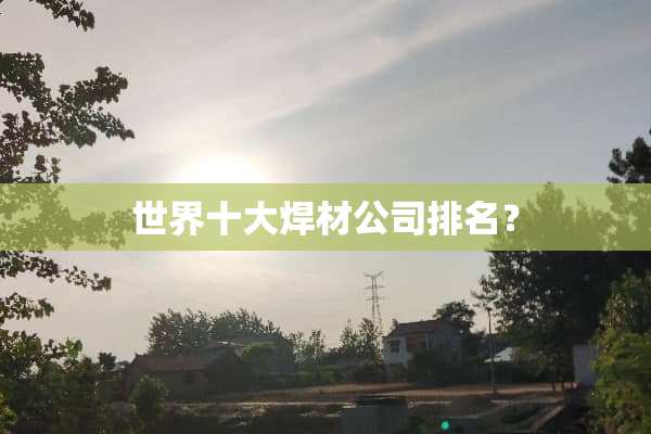 世界十大焊材公司排名？