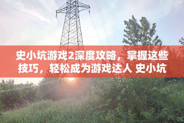 史小坑游戏2深度攻略，掌握这些技巧，轻松成为游戏达人 史小坑游戏2攻略