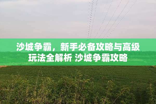 沙城争霸,新手必备攻略与高级玩法全解析 沙城争霸攻略 沙城争霸,新手必备攻略与高级玩法全解析 沙城争霸攻略