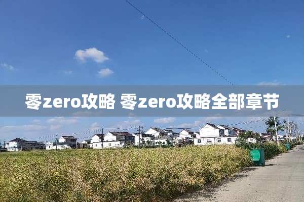 零zero攻略 零zero攻略全部章节