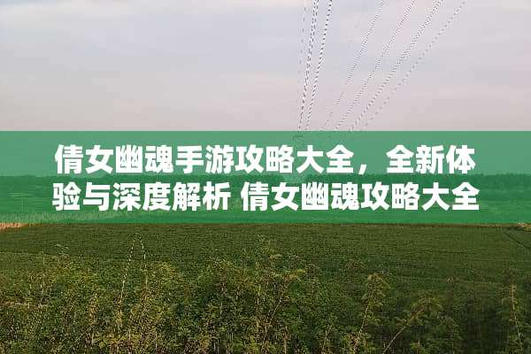 倩女幽魂手游攻略大全，全新体验与深度解析 倩女幽魂攻略大全