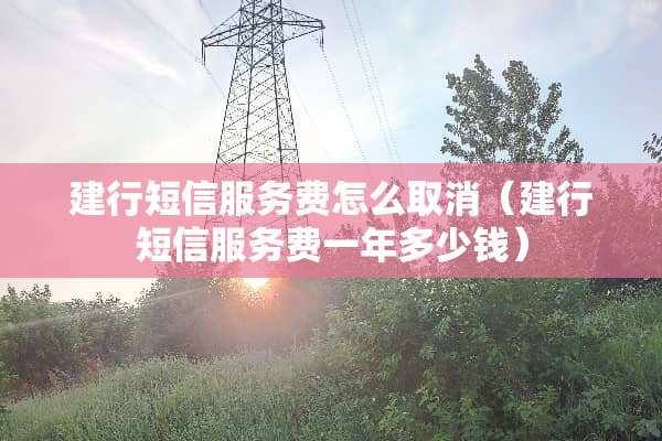 建行短信服务费怎么取消（建行短信服务费一年多少钱）