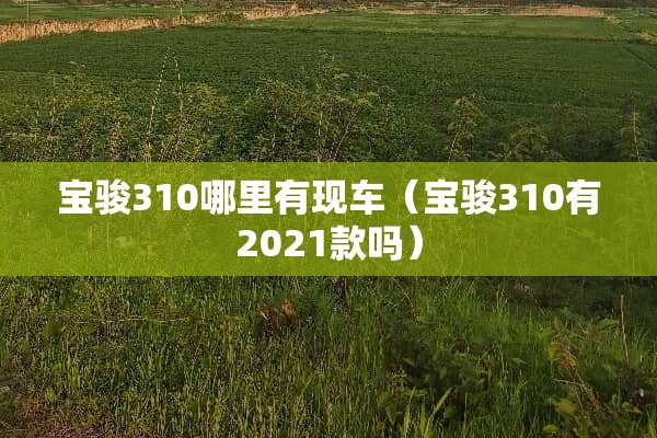 宝骏310哪里有现车(宝骏310有2021款吗)