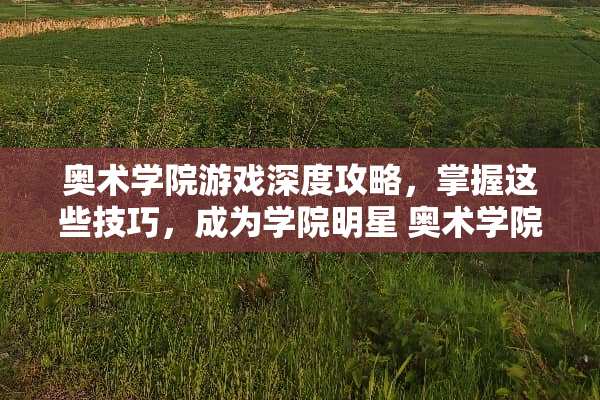 奥术学院游戏深度攻略，掌握这些技巧，成为学院明星 奥术学院游戏攻略