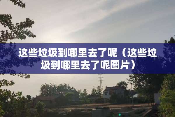 这些垃圾到哪里去了呢(这些垃圾到哪里去了呢图片)