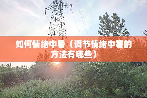 如何情绪中暑(调节情绪中暑的方法有哪些) 如何情绪中暑(调节情绪中暑的方法有哪些)