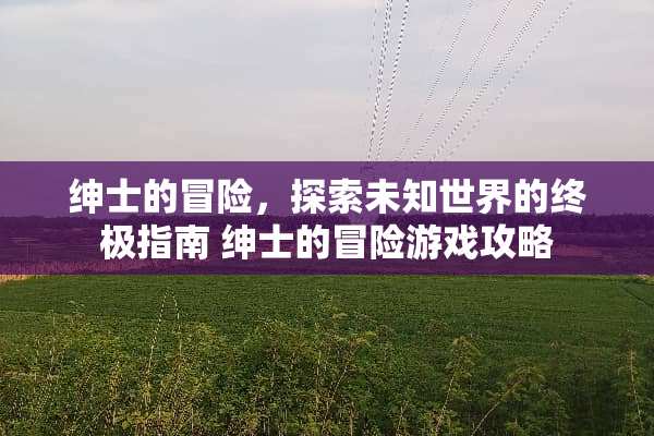 绅士的冒险,探索未知世界的终极指南 绅士的冒险游戏攻略 绅士的冒险,探索未知世界的终极指南 绅士的冒险游戏攻略