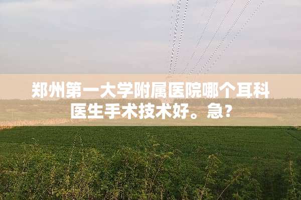 郑州第一大学附属医院哪个耳科医生手术技术好。急？