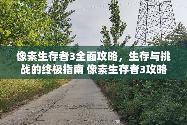像素生存者3全面攻略，生存与挑战的终极指南 像素生存者3攻略