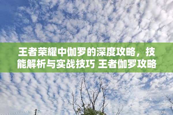 王者荣耀中伽罗的深度攻略，技能解析与实战技巧 王者伽罗攻略