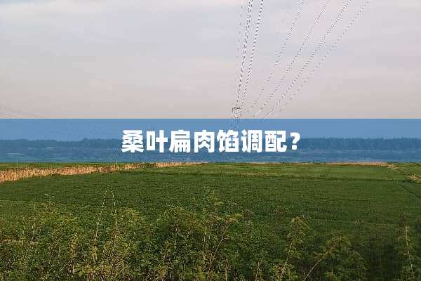 桑叶扁肉馅调配？
