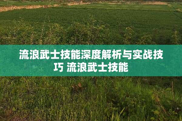 流浪武士技能深度解析与实战技巧 流浪武士技能