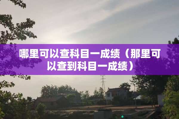 哪里可以查科目一成绩（那里可以查到科目一成绩）