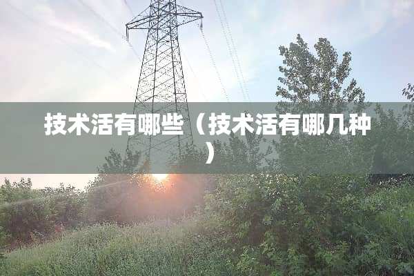 技术活有哪些(技术活有哪几种) 技术活有哪些(技术活有哪几种)