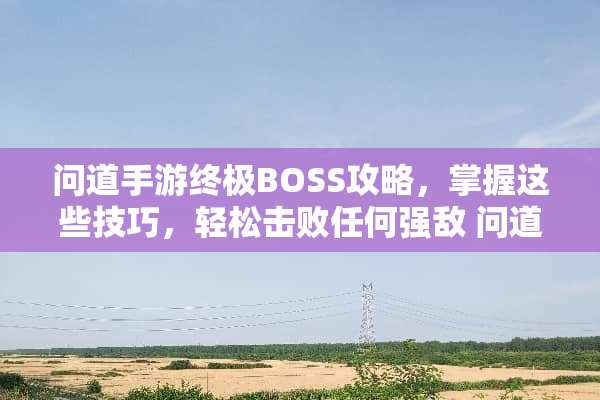问道手游终极BOSS攻略，掌握这些技巧，轻松击败任何强敌 问道手游boss攻略